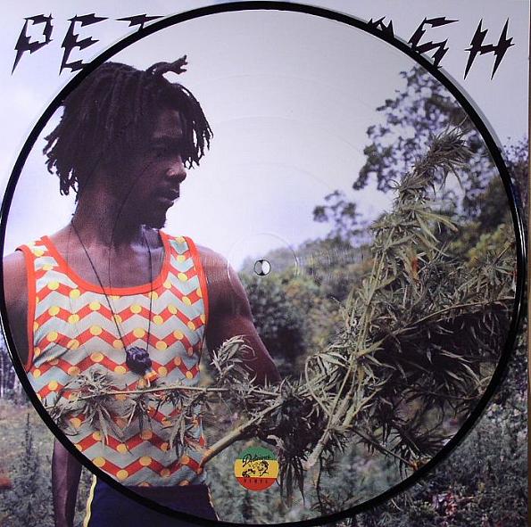PETER TOSH PIC DISC
