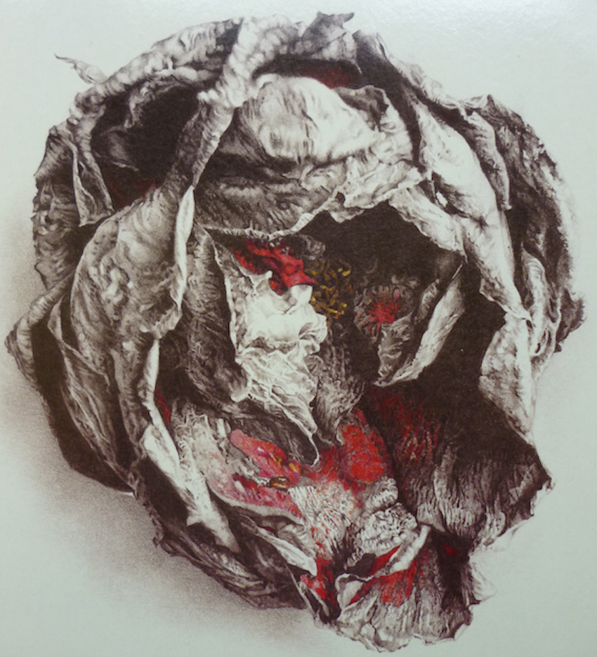mother rose resize2 REVIEWS, PROMO`D, TEST PRESSING, DR ROB, LUKE SOLOMON, MOTHER ROSE