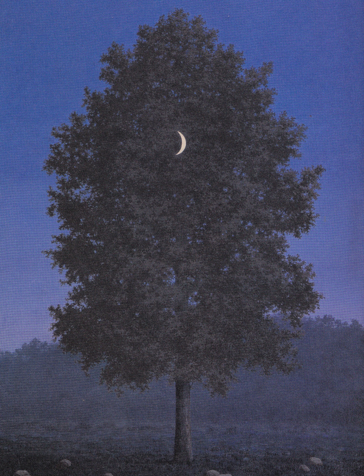 Just Because, Test Pressing, Dr Rob, Rene Magritte, September 16th