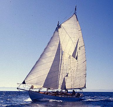 david crosby sailboat maya