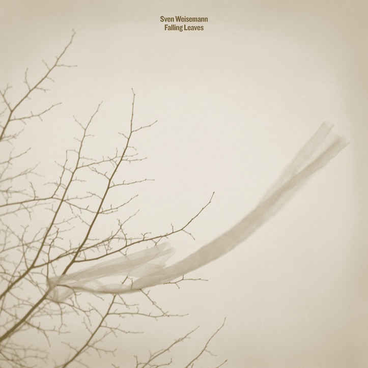 Fauxpas Musik, Test Pressing, Reviews, Dr Rob, Sven Weisemann, Falling Leaves, Gigi Masin, Talk To The Sea,