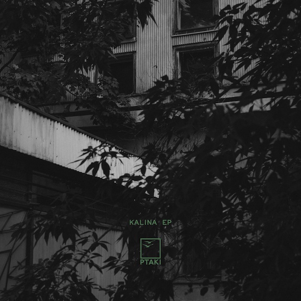 Test Pressing, Review, Dr Rob, Ptaki, Very Polish Cut outs, Young Adults, Kalina