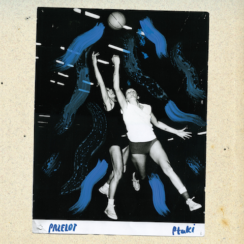 Ptaki - Przelot Cover Front copy