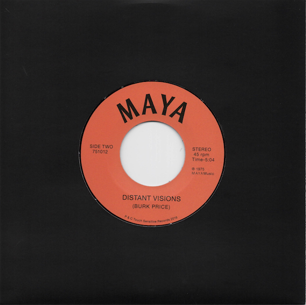 Cherrystones, Maya, Burk Price, Skyhorse, Test Pressing, Review, Dr Rob, Touch Sensitive, Distant Visions, Synthezoid Heartbreak