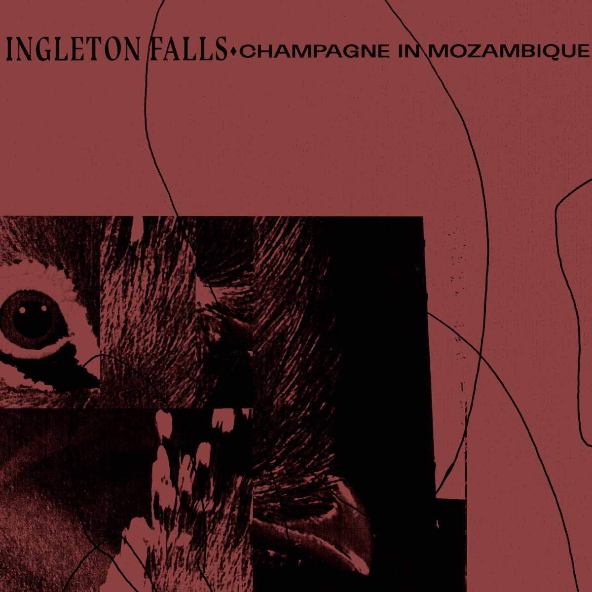 Ingleton Falls, Champagne In Mozambique,